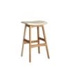 Ramp Stool